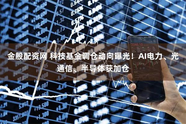 金股配资网 科技基金调仓动向曝光！AI电力、光通信、半导体获加仓