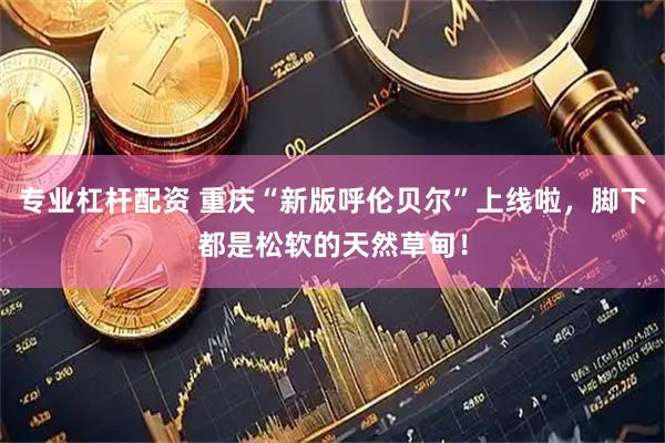 专业杠杆配资 重庆“新版呼伦贝尔”上线啦,脚下都是松软的天然草甸!